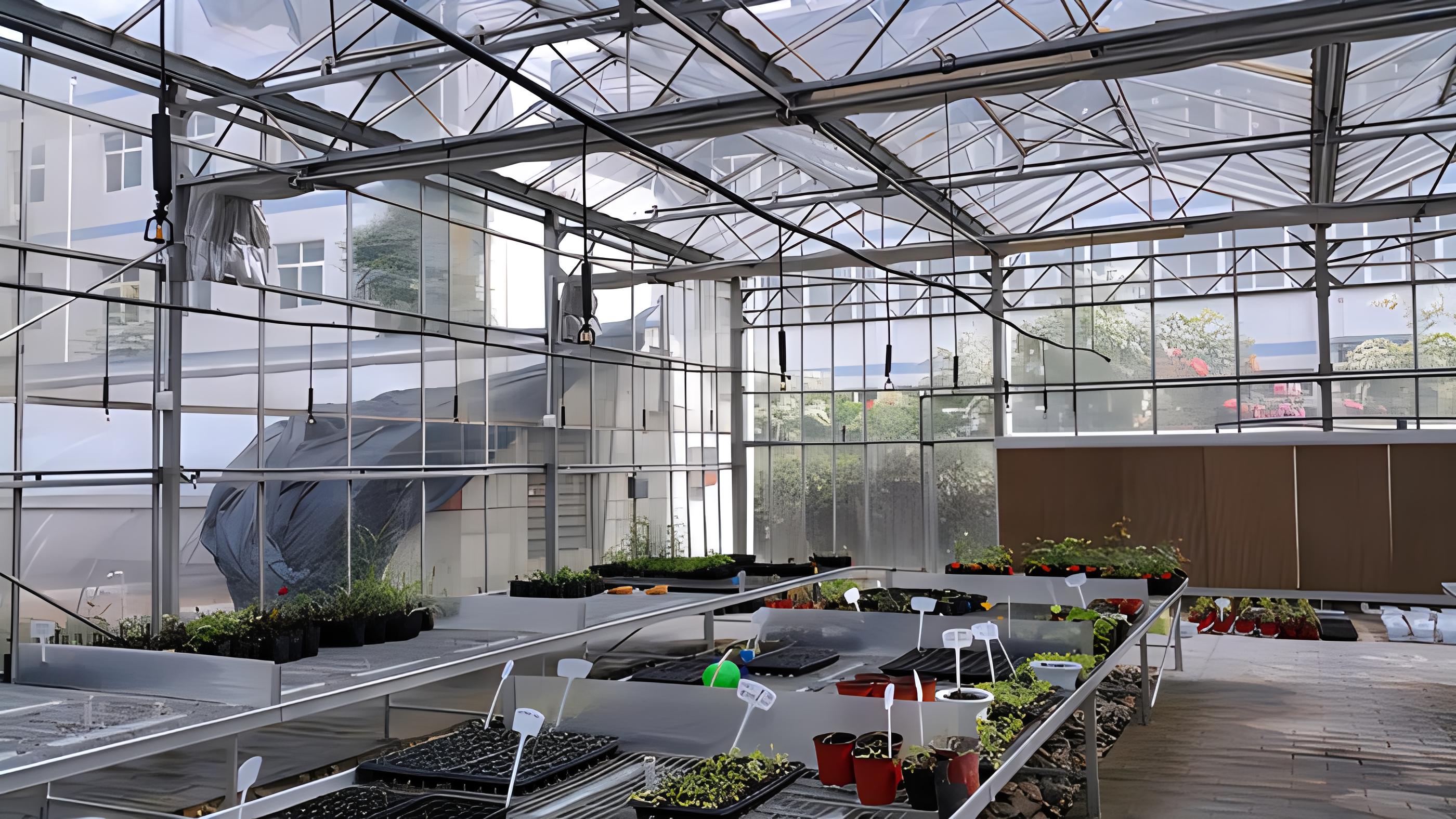 福建省农科院科研玻璃温室案例